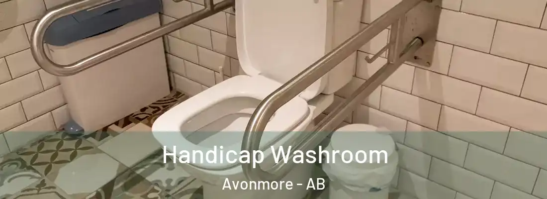  Handicap Washroom Avonmore - AB