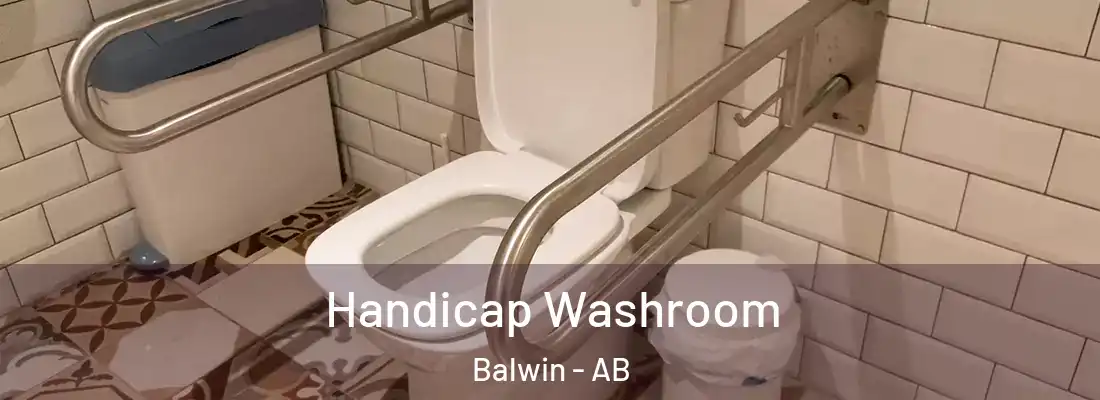  Handicap Washroom Balwin - AB