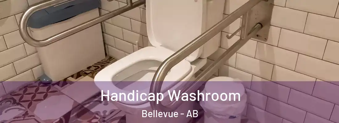  Handicap Washroom Bellevue - AB