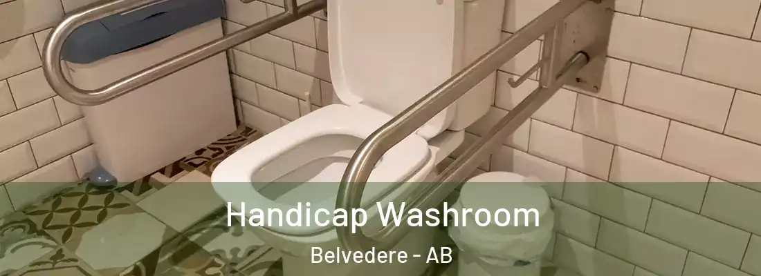  Handicap Washroom Belvedere - AB