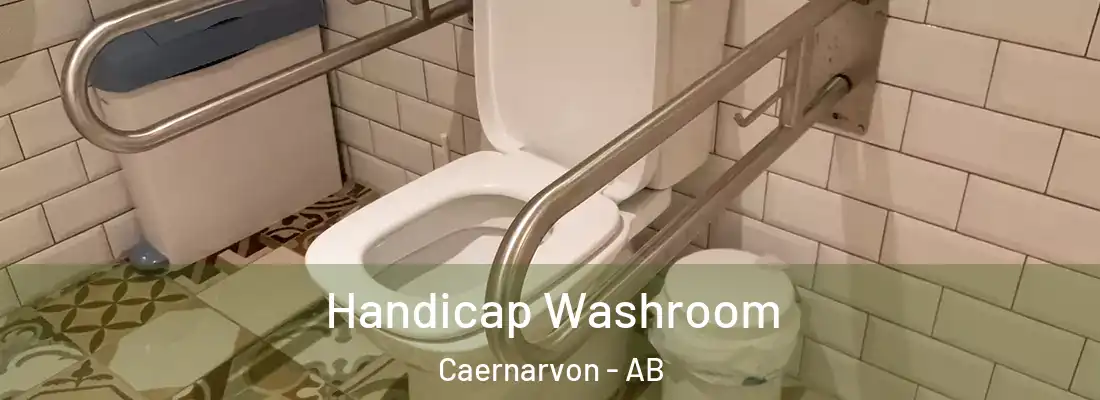  Handicap Washroom Caernarvon - AB