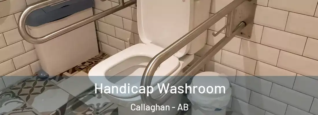  Handicap Washroom Callaghan - AB