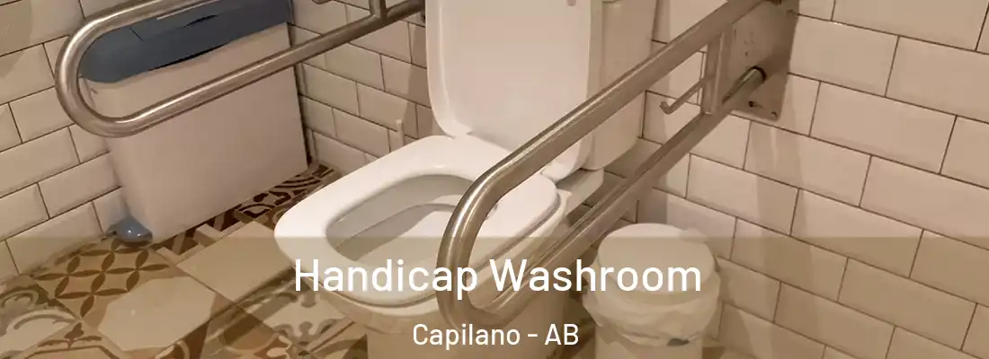  Handicap Washroom Capilano - AB
