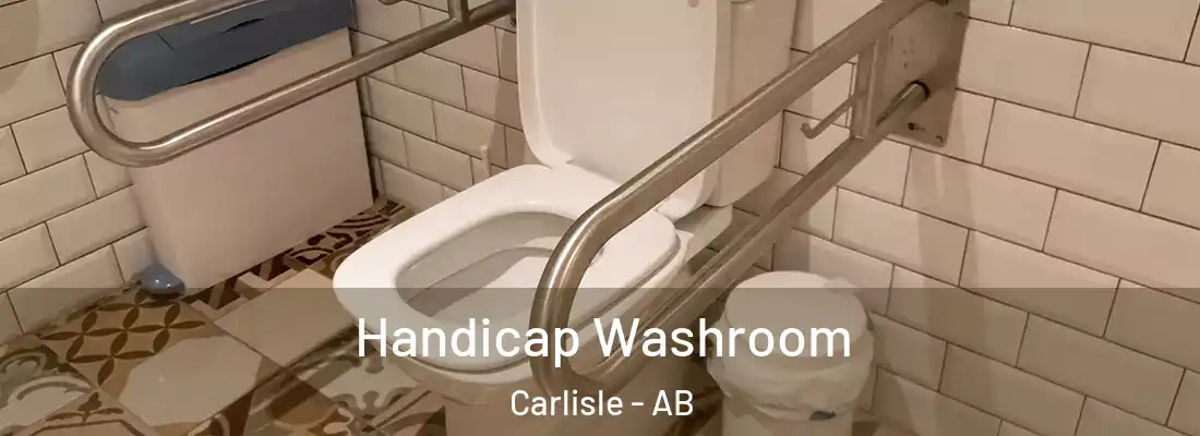  Handicap Washroom Carlisle - AB