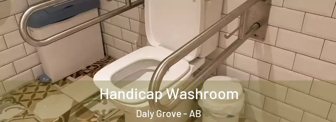  Handicap Washroom Daly Grove - AB