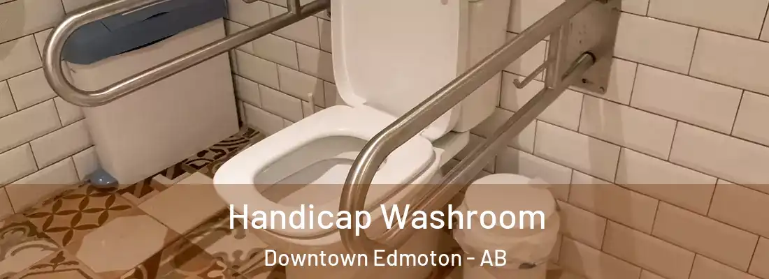  Handicap Washroom Downtown Edmoton - AB