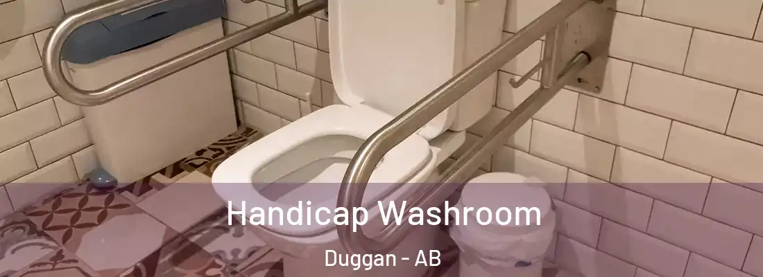  Handicap Washroom Duggan - AB