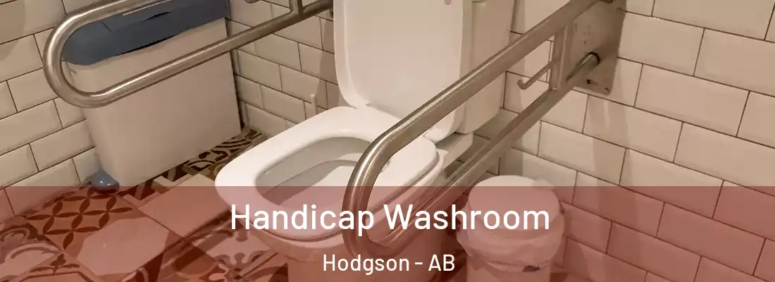  Handicap Washroom Hodgson - AB