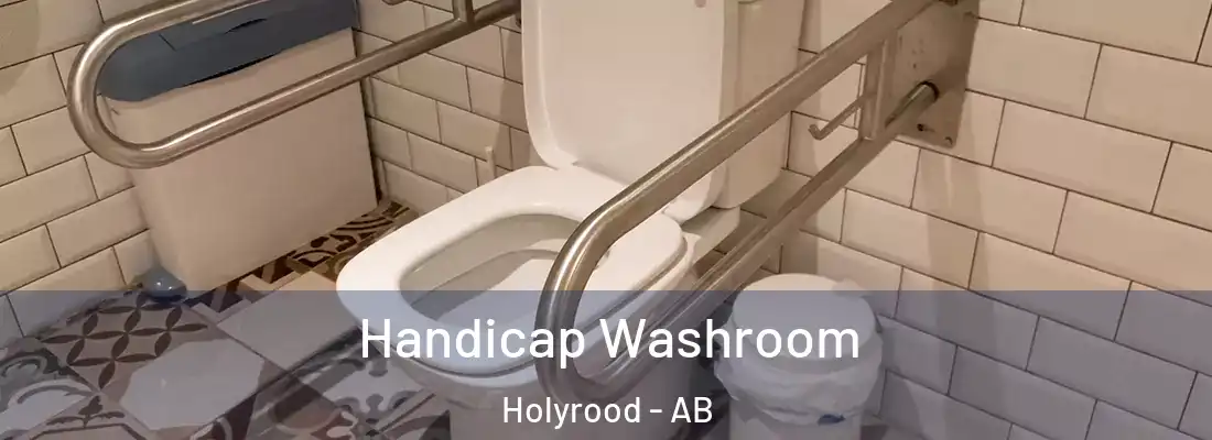  Handicap Washroom Holyrood - AB