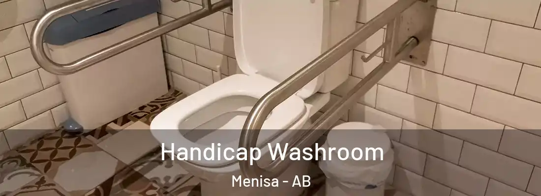  Handicap Washroom Menisa - AB