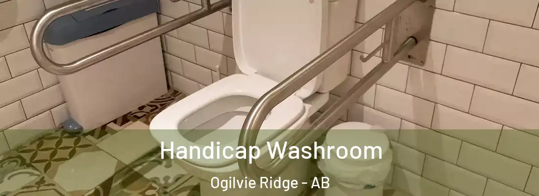  Handicap Washroom Ogilvie Ridge - AB