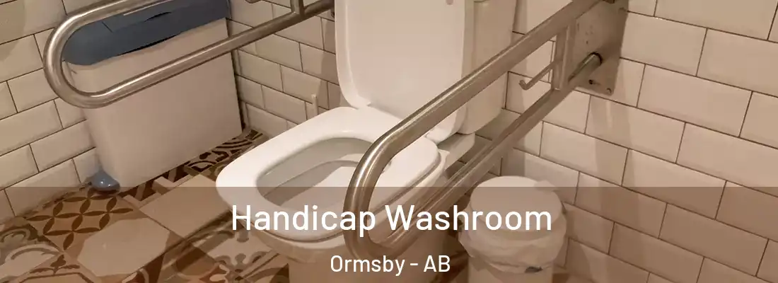  Handicap Washroom Ormsby - AB
