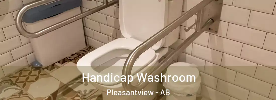  Handicap Washroom Pleasantview - AB