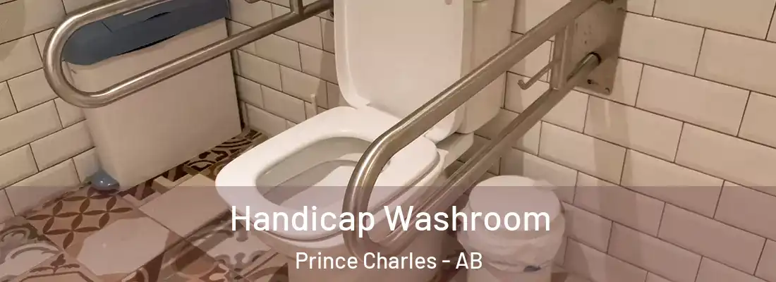  Handicap Washroom Prince Charles - AB