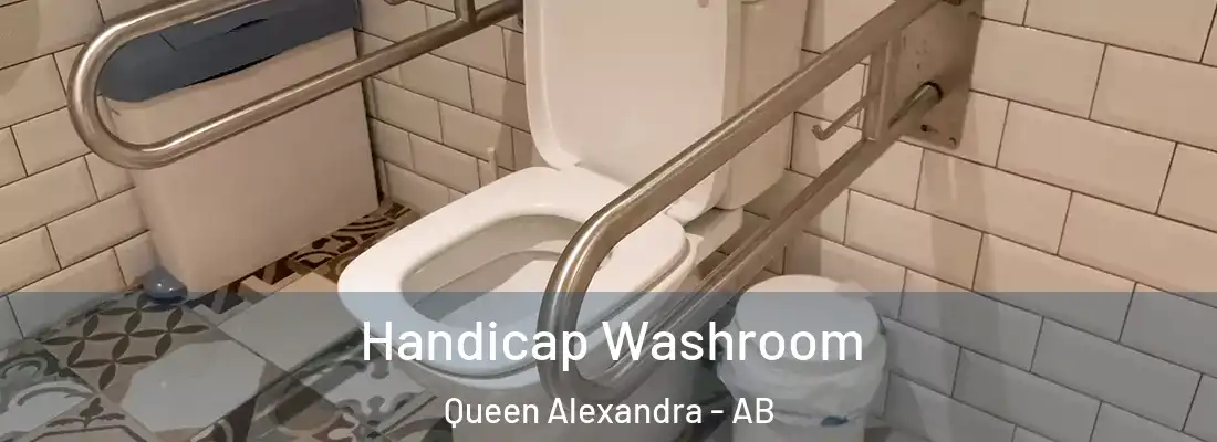  Handicap Washroom Queen Alexandra - AB