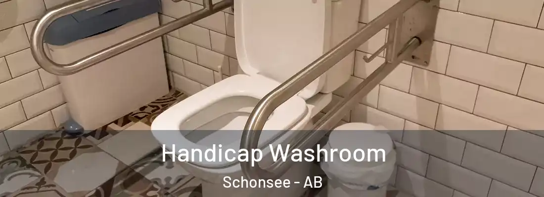  Handicap Washroom Schonsee - AB
