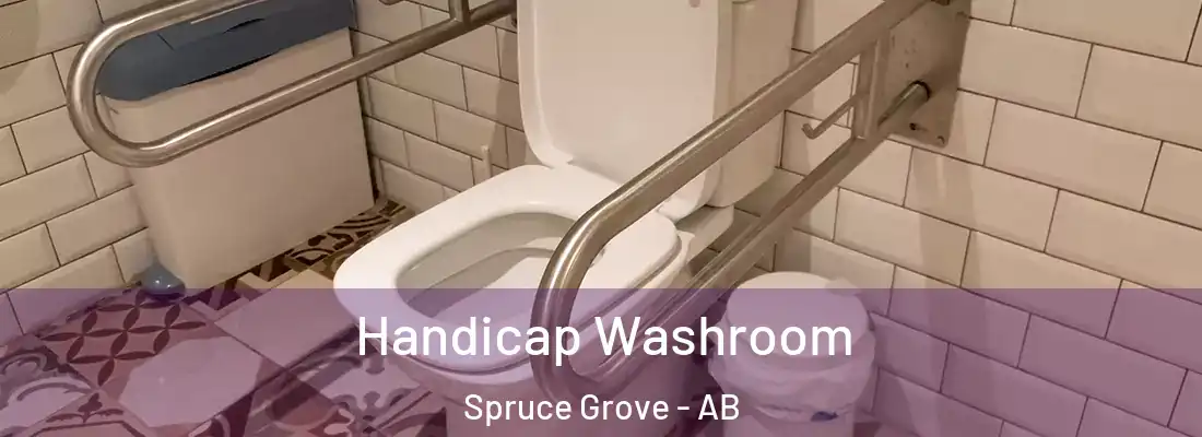  Handicap Washroom Spruce Grove - AB
