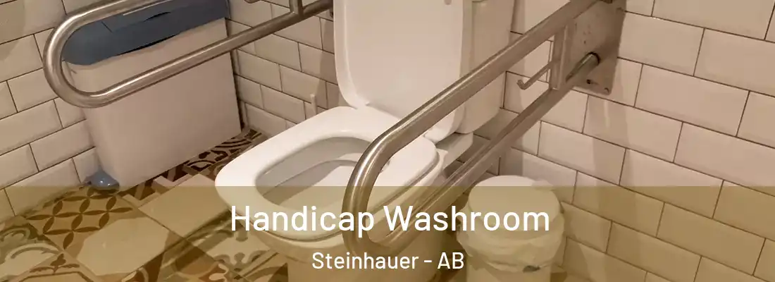  Handicap Washroom Steinhauer - AB
