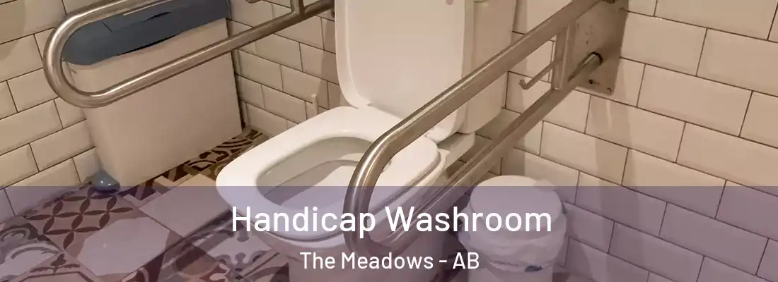  Handicap Washroom The Meadows - AB