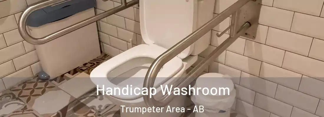  Handicap Washroom Trumpeter Area - AB