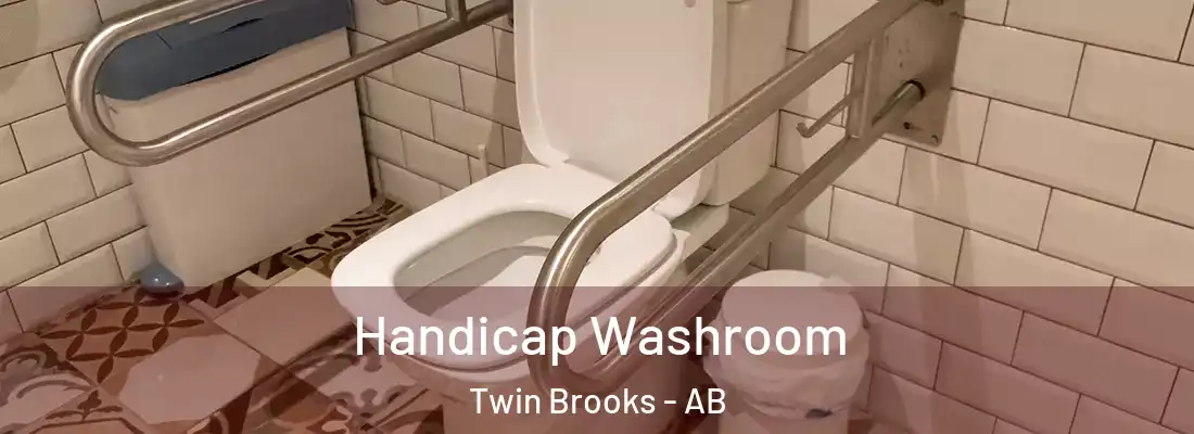  Handicap Washroom Twin Brooks - AB