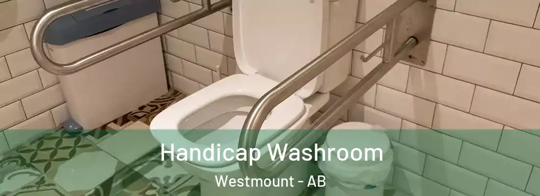  Handicap Washroom Westmount - AB