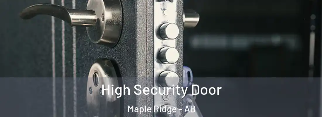  High Security Door Maple Ridge - AB