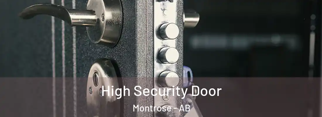  High Security Door Montrose - AB