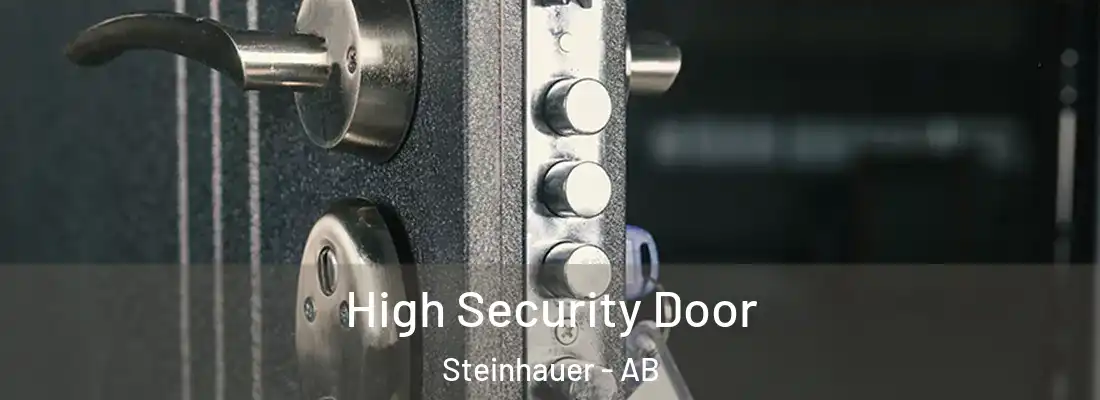  High Security Door Steinhauer - AB