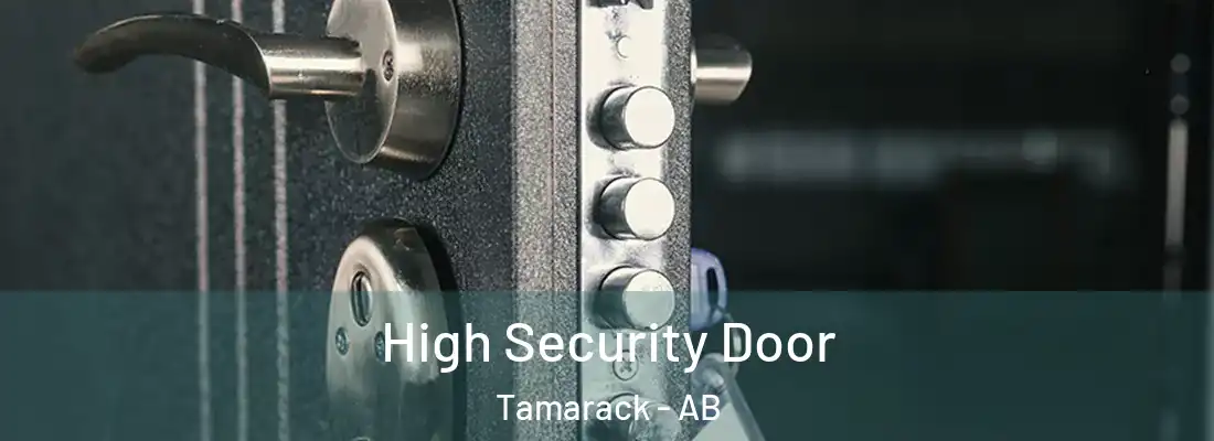  High Security Door Tamarack - AB