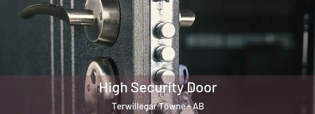  High Security Door Terwillegar Towne - AB