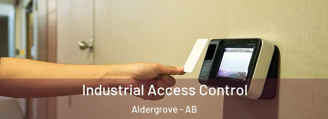  Industrial Access Control Aldergrove - AB