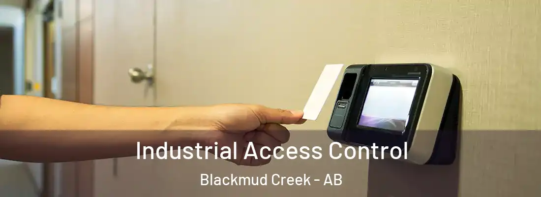  Industrial Access Control Blackmud Creek - AB