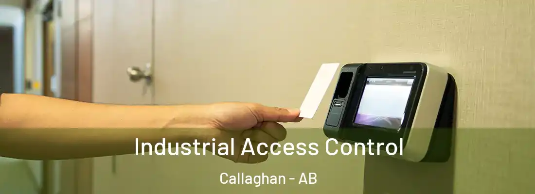  Industrial Access Control Callaghan - AB
