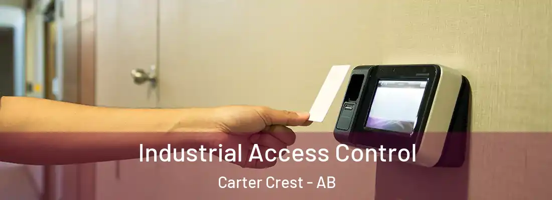 Industrial Access Control Carter Crest - AB