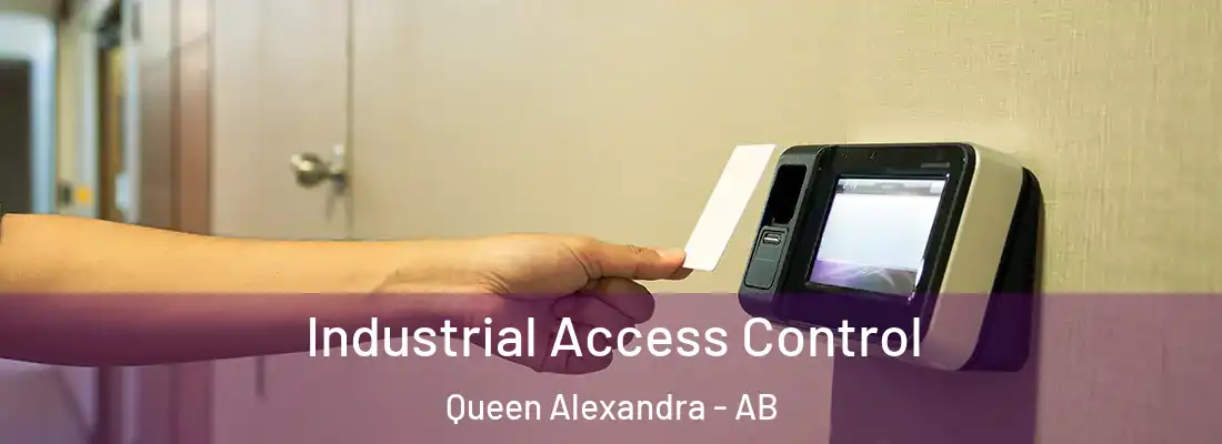  Industrial Access Control Queen Alexandra - AB
