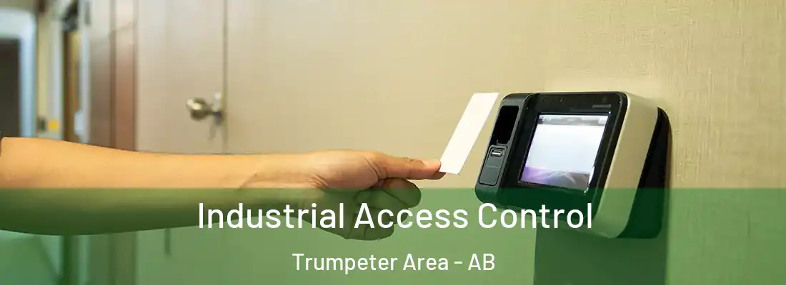  Industrial Access Control Trumpeter Area - AB