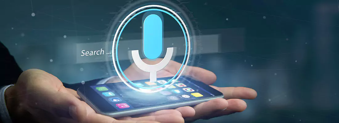 Enhance Security with Voice Recognition Access Systems in Terwillegar South, AB
