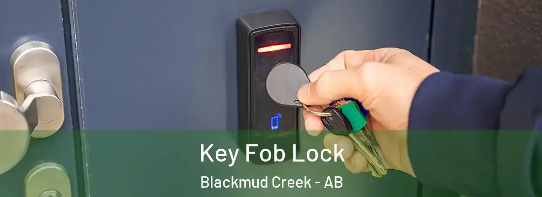  Key Fob Lock Blackmud Creek - AB