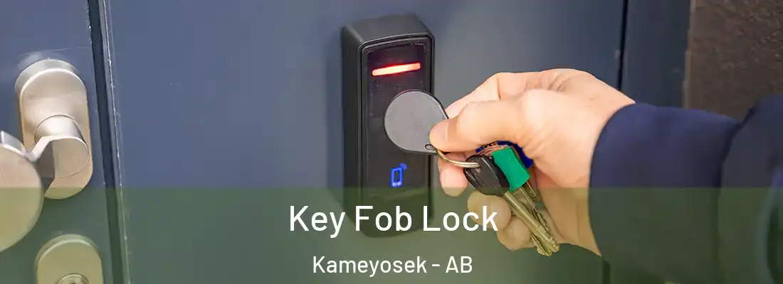  Key Fob Lock Kameyosek - AB