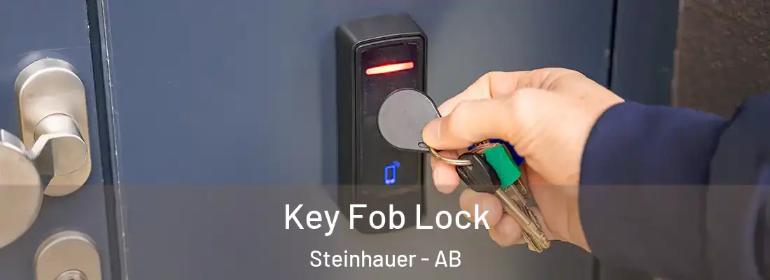  Key Fob Lock Steinhauer - AB