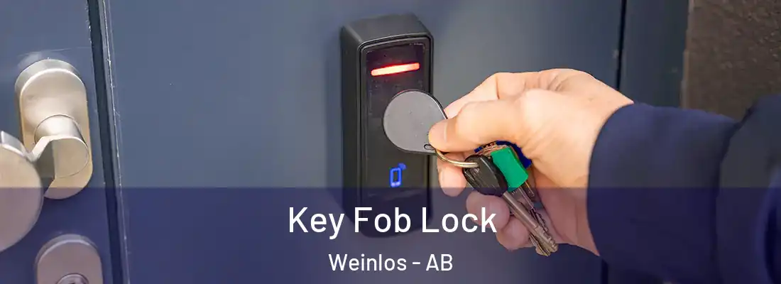  Key Fob Lock Weinlos - AB