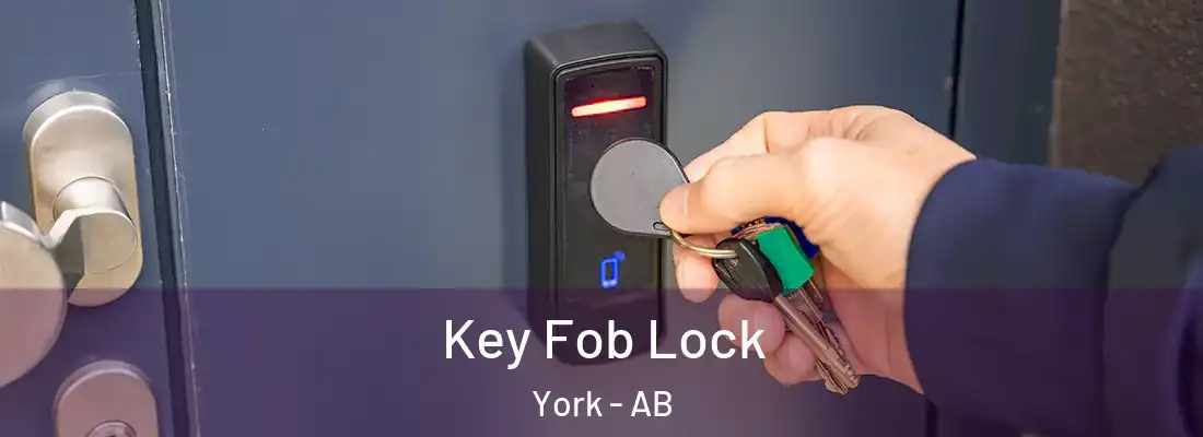  Key Fob Lock York - AB