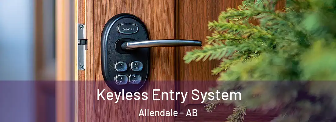 Keyless Entry System Allendale - AB