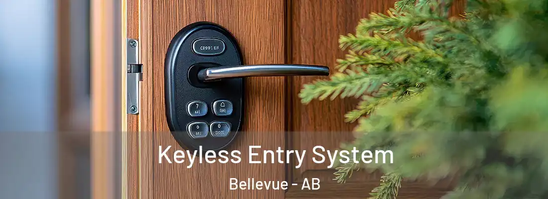  Keyless Entry System Bellevue - AB