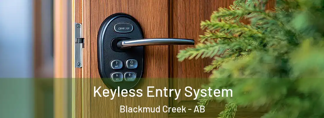  Keyless Entry System Blackmud Creek - AB
