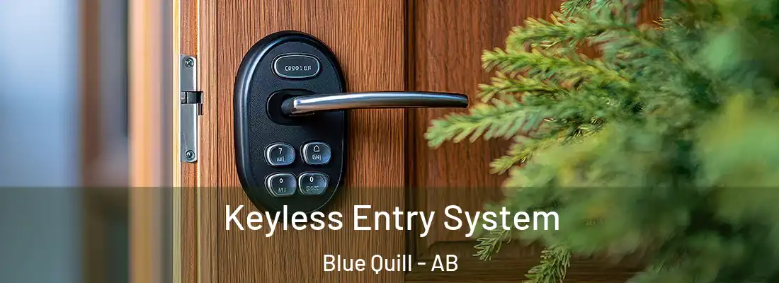  Keyless Entry System Blue Quill - AB
