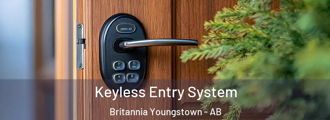  Keyless Entry System Britannia Youngstown - AB