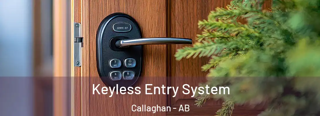  Keyless Entry System Callaghan - AB
