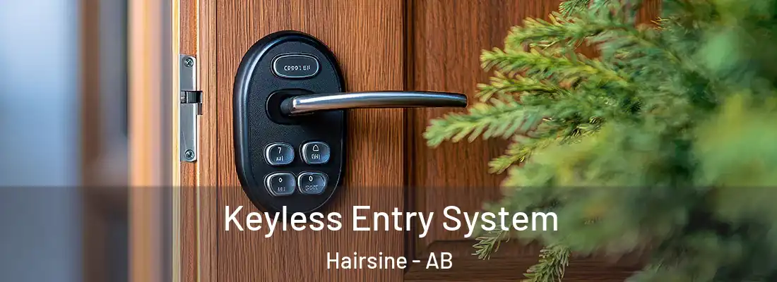  Keyless Entry System Hairsine - AB